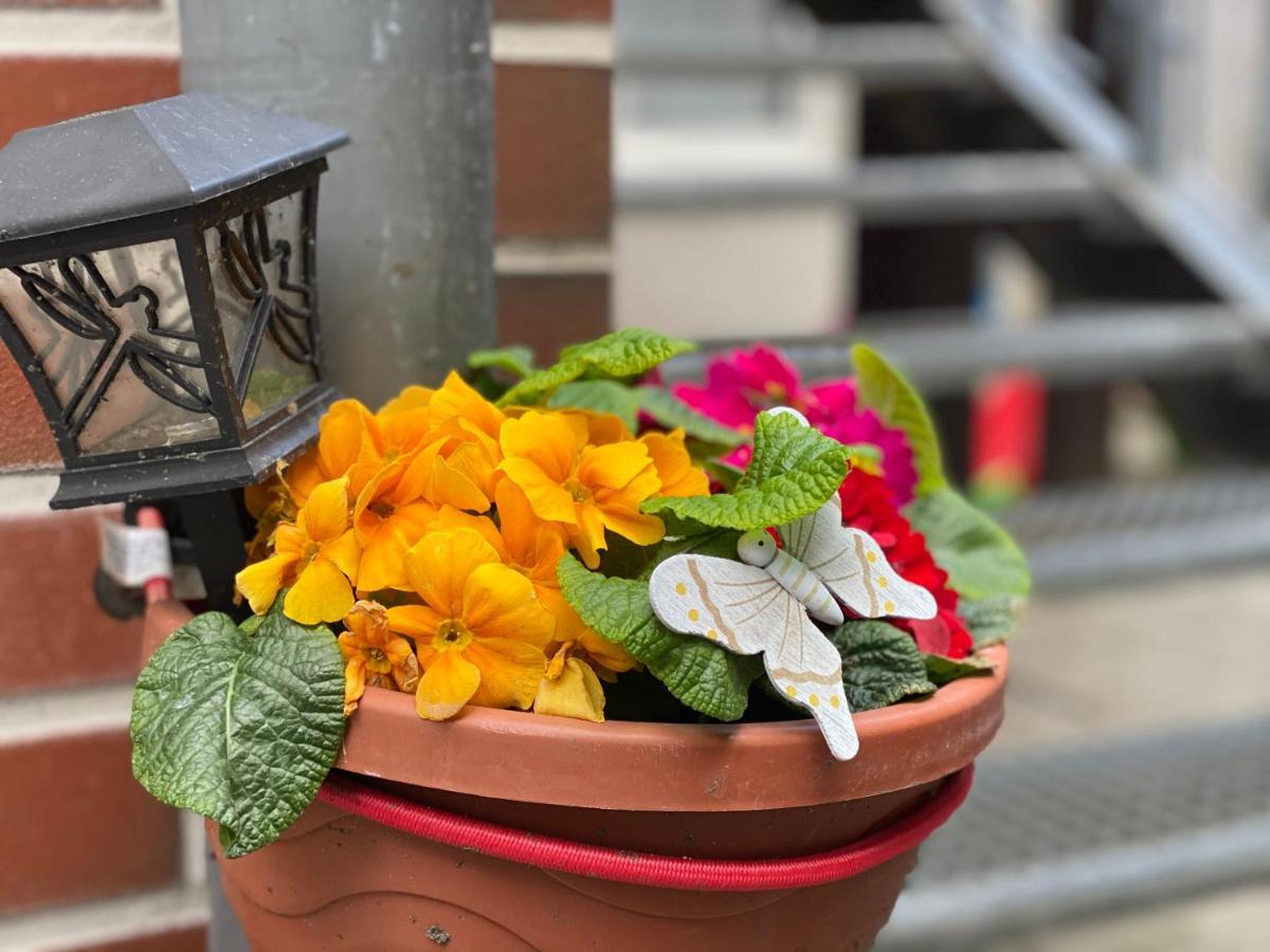 Pension Zum Blumchen Schwerin  Bagian luar foto